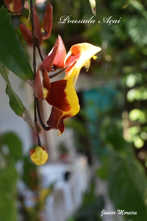 Pousada Acai Paraty Bagian luar foto